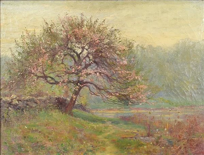 Connecticut fiori di primavera